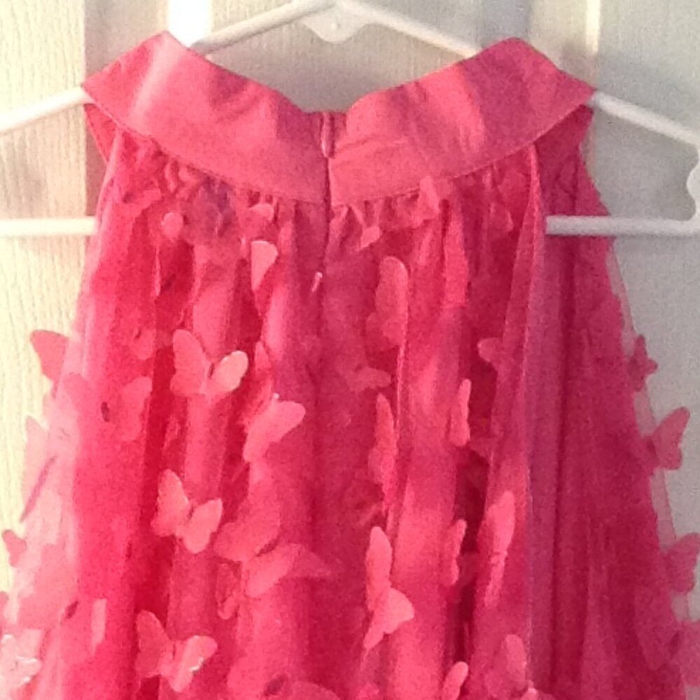 NWOT Butterfly Applique Mesh Overlay Pink Dress 6/M Zip Whimsical Fairycore Chic - Picture 3 of 3